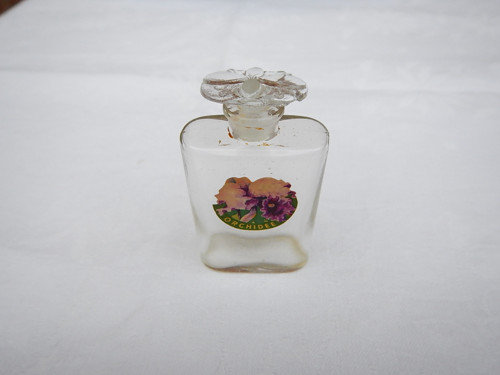 Orchidee — foto 3