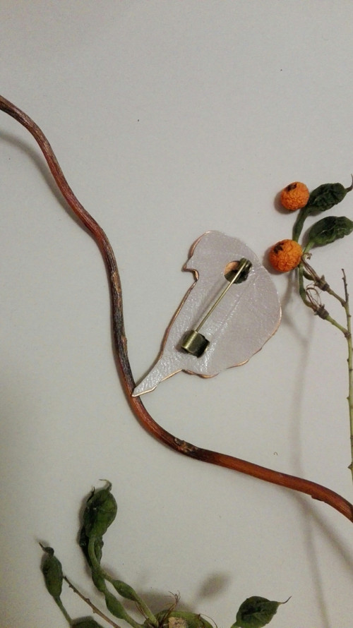 Oranžovorůžový ptáček — foto 6