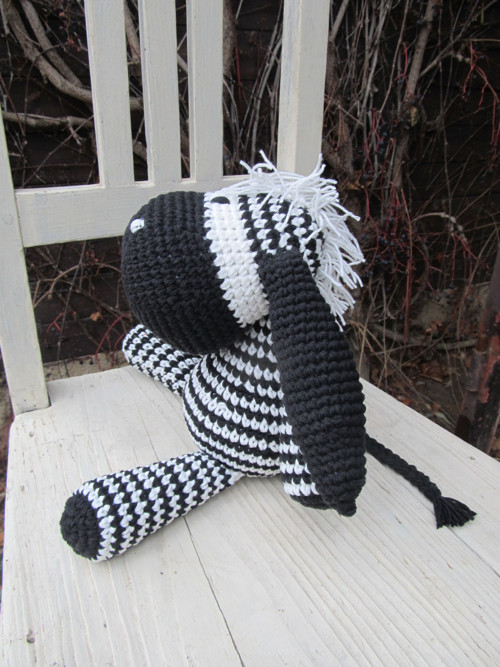 Zebra — foto 2