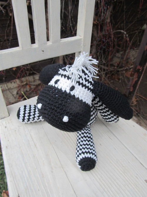 Zebra — foto 3