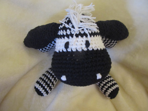 Zebra — foto 5