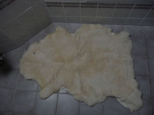 Předložka z ovečky 3 — foto 2