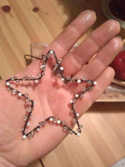 Hvězdička třpytivá... — foto 2