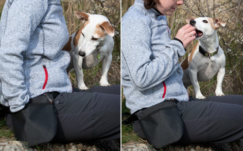 Pamlskovník - RHODÉSKÝ RIDGEBACK + SRDCE — foto 3