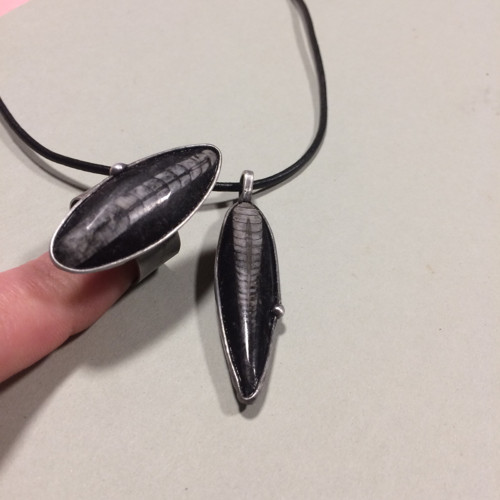 Minulost (orthoceras) — foto 3