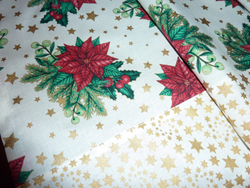 Poinsettia — foto 2
