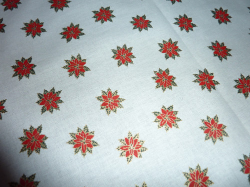 Velký s poinsettií — foto 2