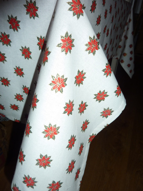 Velký s poinsettií — foto 4