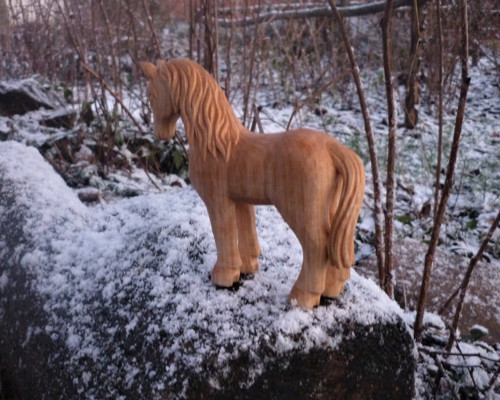 Koník — foto 2