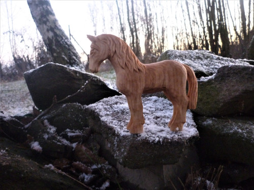 Koník — foto 3