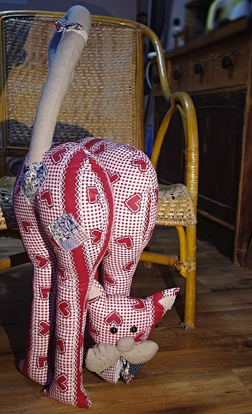 Kočka — foto 3