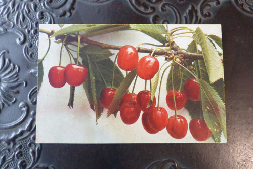 Šťavnatě ...stará pohlednice — foto 2