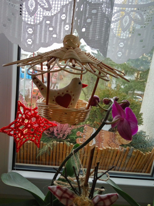 Krmítko — foto 5