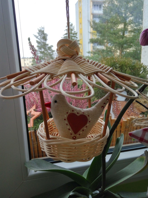 Krmítko — foto 6