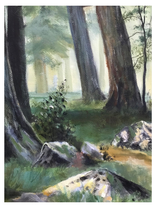 Déšť v dubovém lese — foto 2