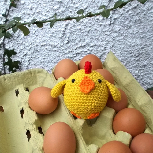 Kuřátko :) — foto 3