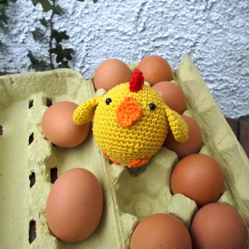 Kuřátko :) — foto 4