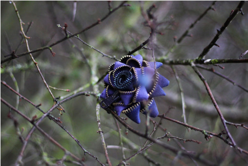 Brož Blue — foto 2
