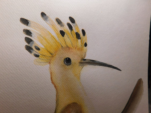 Dudek — foto 3