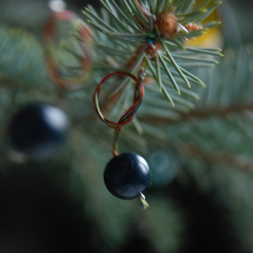 Trnky s uzlíkem — foto 3