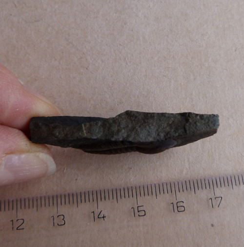 Trilobit ČR - 4,4 cm — foto 5