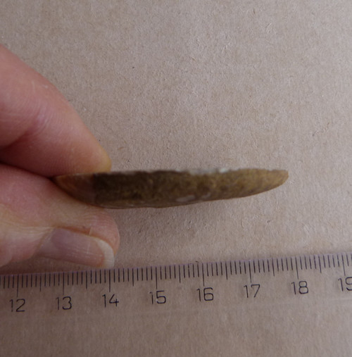Amonit - 4,5 cm — foto 5
