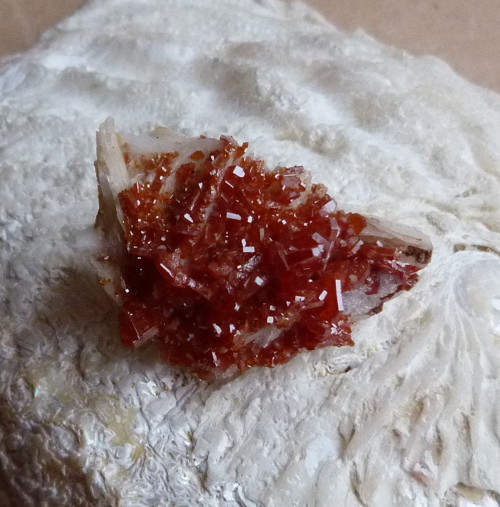 Vanadinit, baryt - 3,5 cm — foto 2