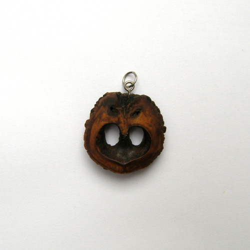 Orechový ornament — foto 3