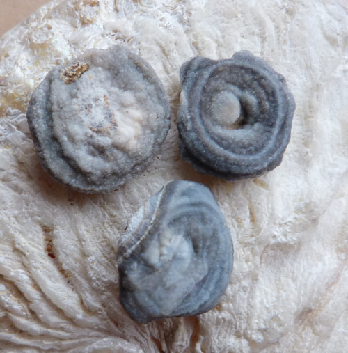 Chalcedon hadí oko - 3 ks — foto 2