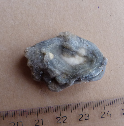 Chalcedon hadí oko - 3,6 cm — foto 3
