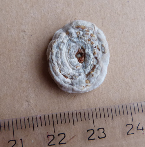 Chalcedon hadí oko - 1,9 cm — foto 3