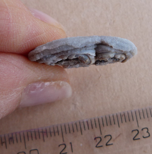 Chalcedon hadí oko - 1,9 cm — foto 5