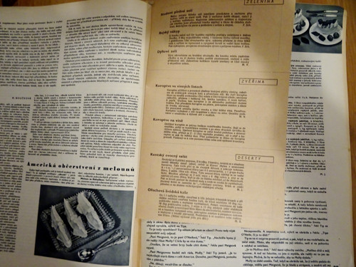 EVA Ročník X, číslo 19 — foto 5