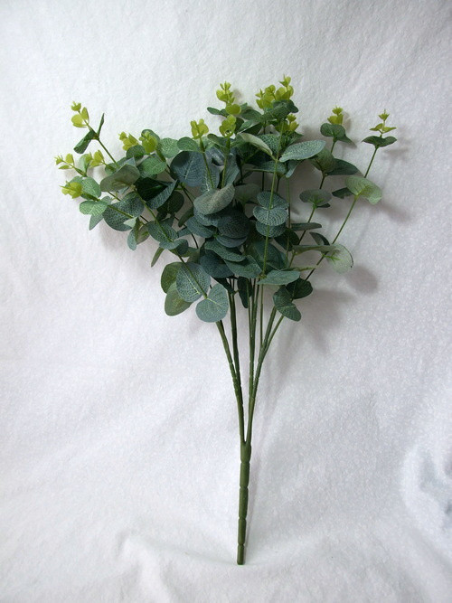 Eukalyptus 50 cm — foto 3