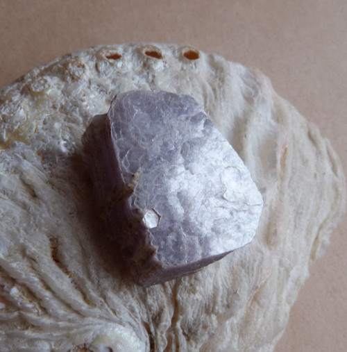 Lepidolit - 3,5 cm — foto 5
