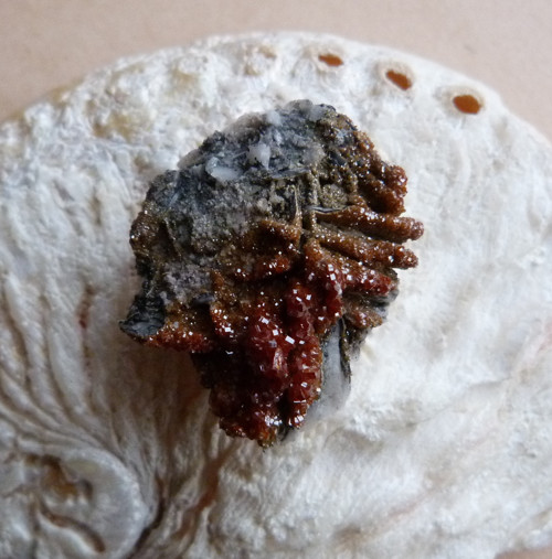 Vanadinit, baryt - 3,5 cm — foto 3