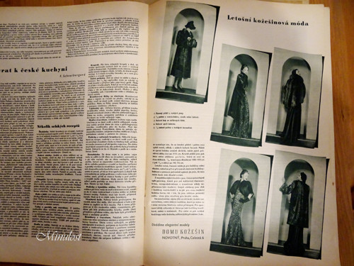 EVA Ročník X, číslo 22 — foto 3