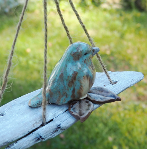Driftwood a ptáček — foto 5