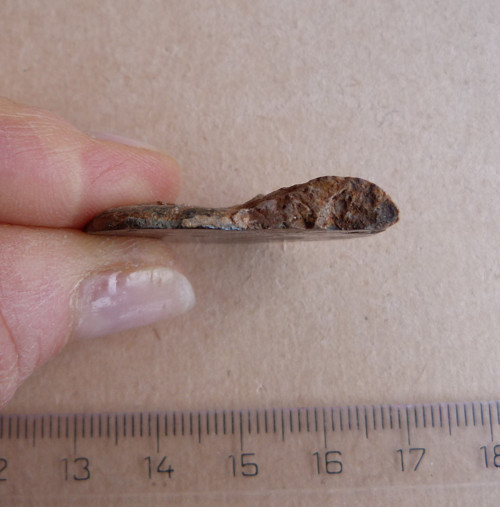 Amonit - 3,2 cm — foto 6