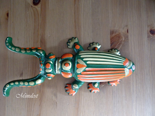 Barevný brouk — foto 3