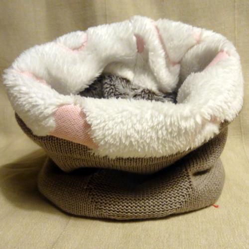 Chomout srdce — foto 4
