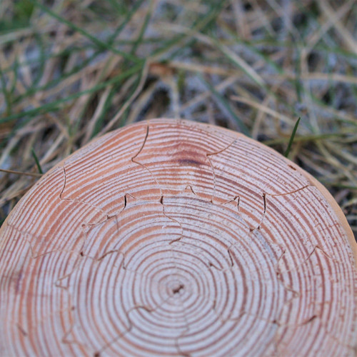 Hlavolam kulatý VII. — foto 2