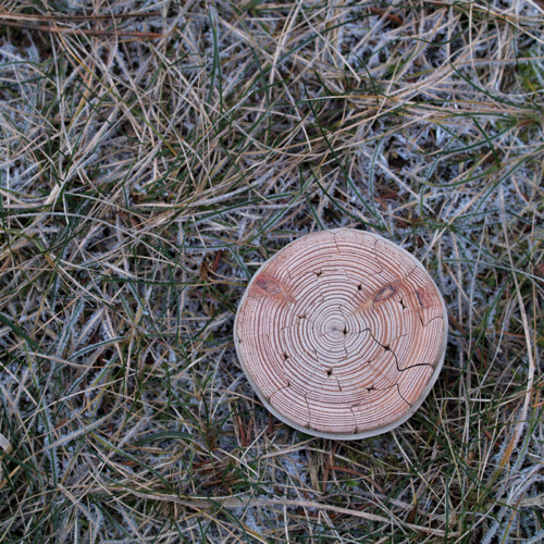 Hlavolam kulatý VIII. — foto 2
