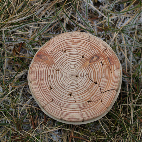 Hlavolam kulatý VIII. — foto 3