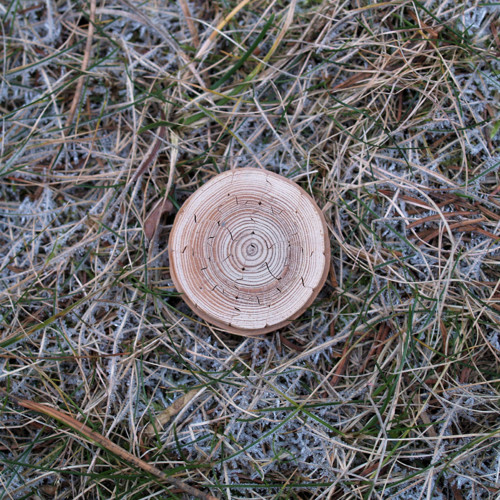 Hlavolam kulatý XV. — foto 2