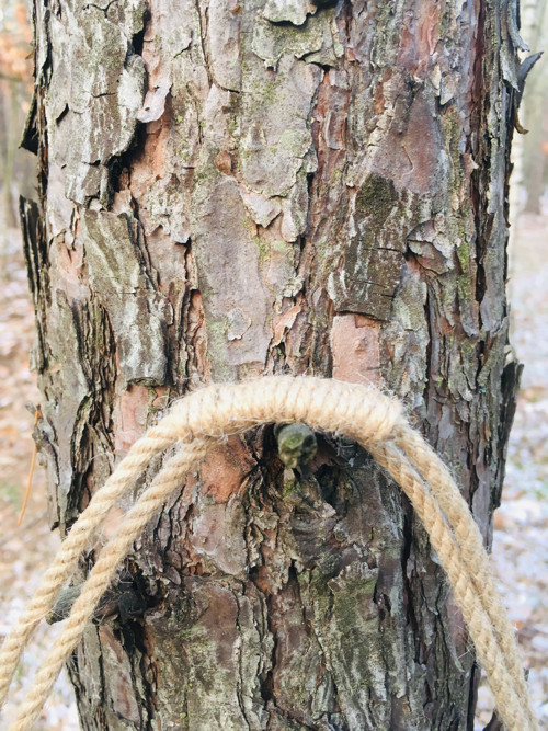 Dřevěná malovaná cedule — foto 3