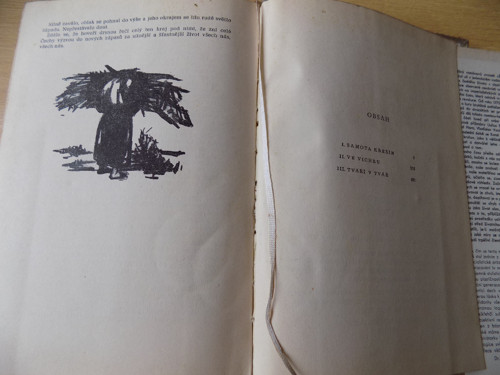 Železný kruh - Karel Nový — foto 4