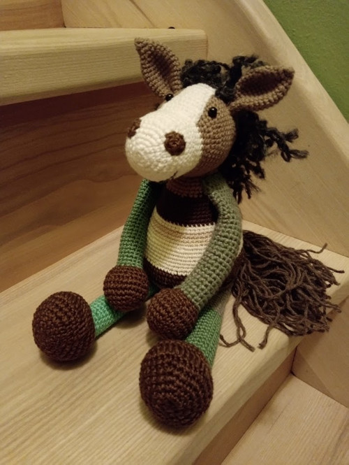 Kůň — foto 2