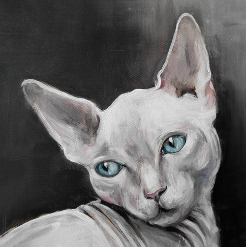 Sphynx — foto 2