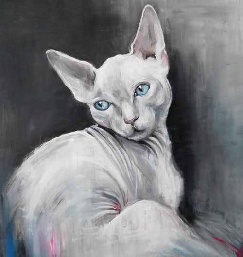 Sphynx — foto 3